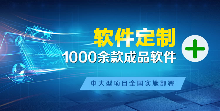 淳化软件开发